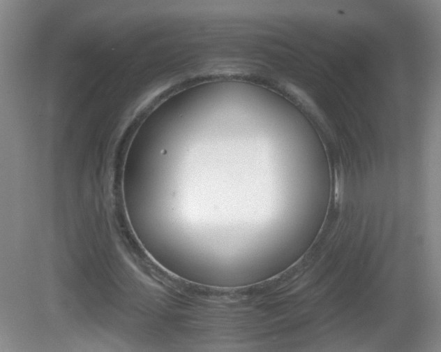 X0000083010627200702020916