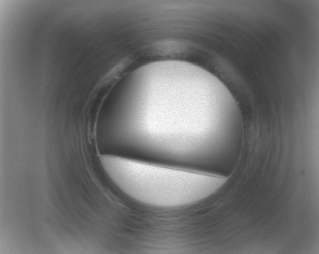 X0000083010644200702020916