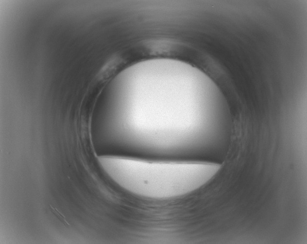 X0000083010648200702020916