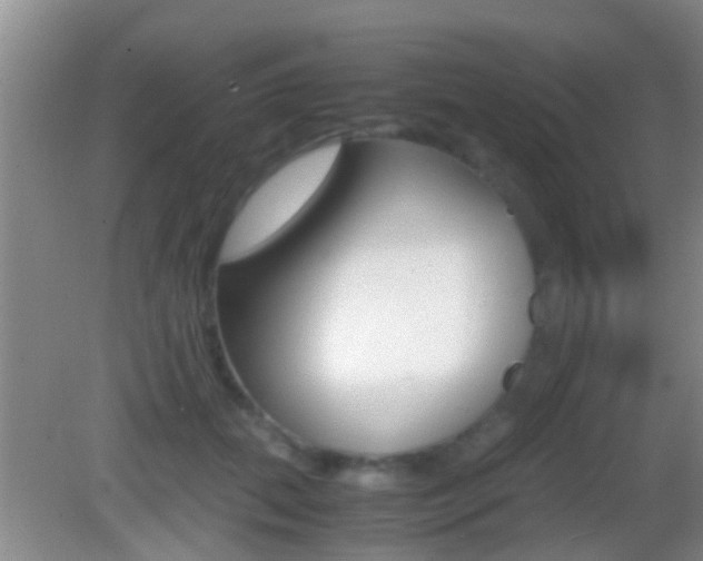 X0000083010655200702020916