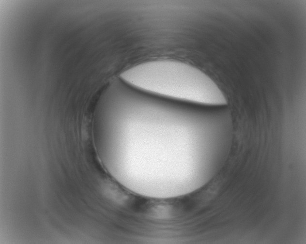 X0000083010658200702020917
