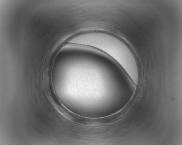 X0000083010677200702020916