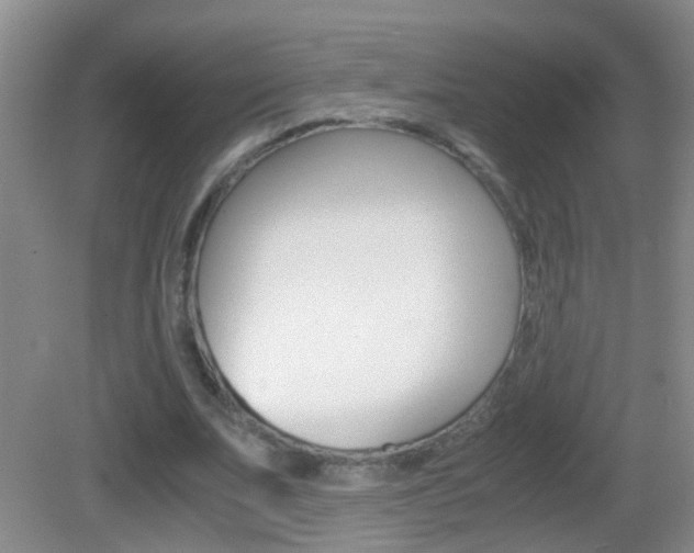 X0000083010679200702020916
