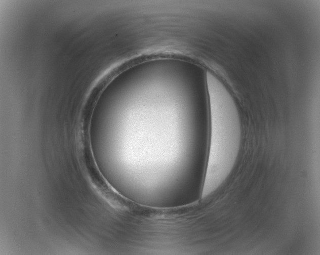 X0000083010680200702020916