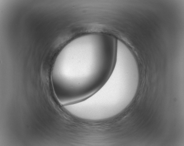 X0000083010681200702020916