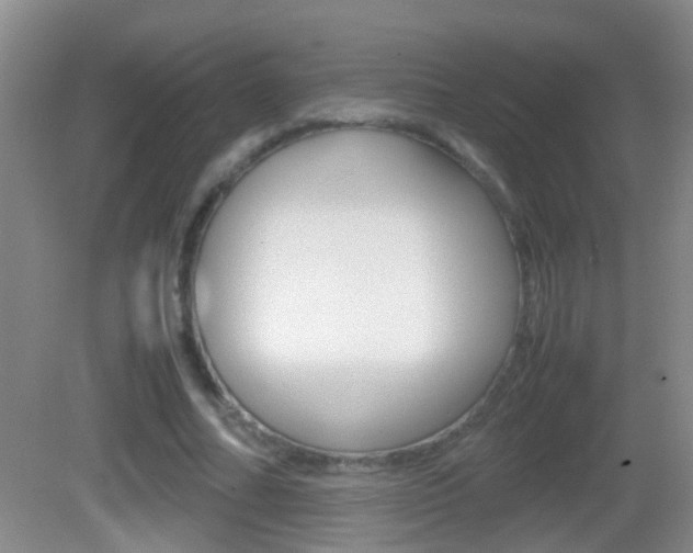X0000083010682200702020916