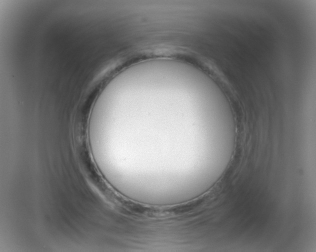 X0000083010683200702020916