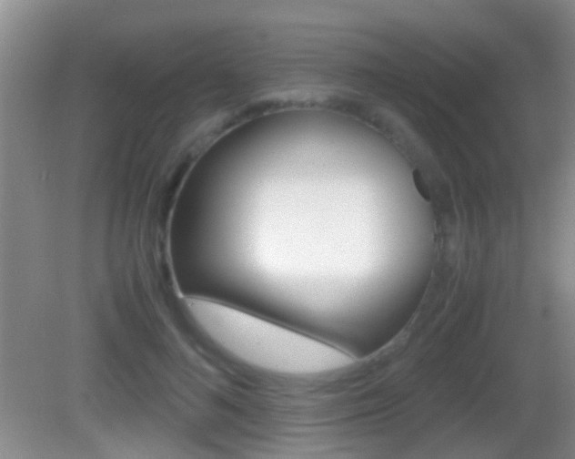 X0000083010692200702020916