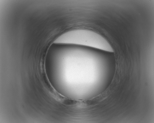 X0000083010696200702020916