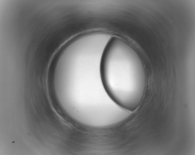 X0000083010722200702020914