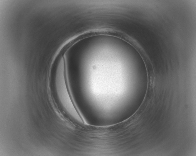 X0000083010724200702020914