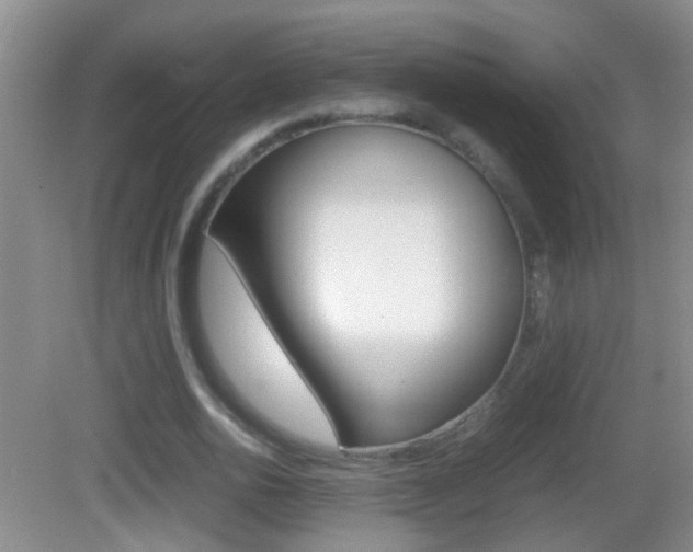 X0000083010726200702020914