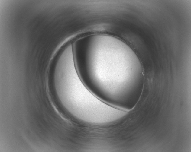X0000083010728200702020914