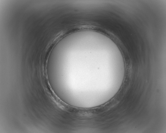 X0000083010729200702020914