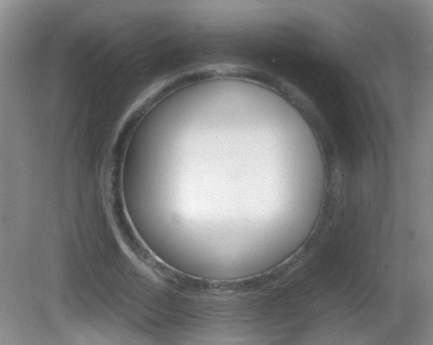 X0000083010730200702020915