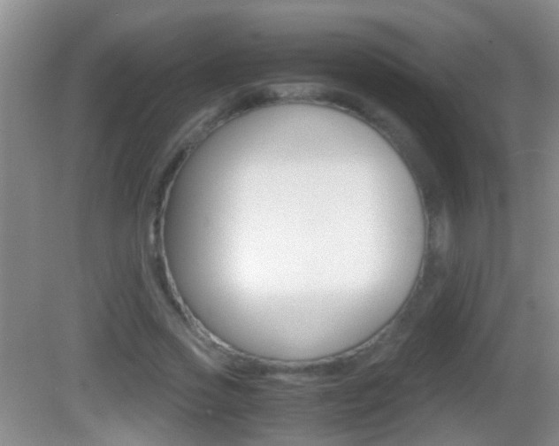 X0000083010733200702020915