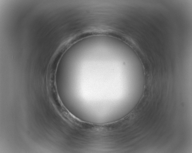 X0000083010736200702020915