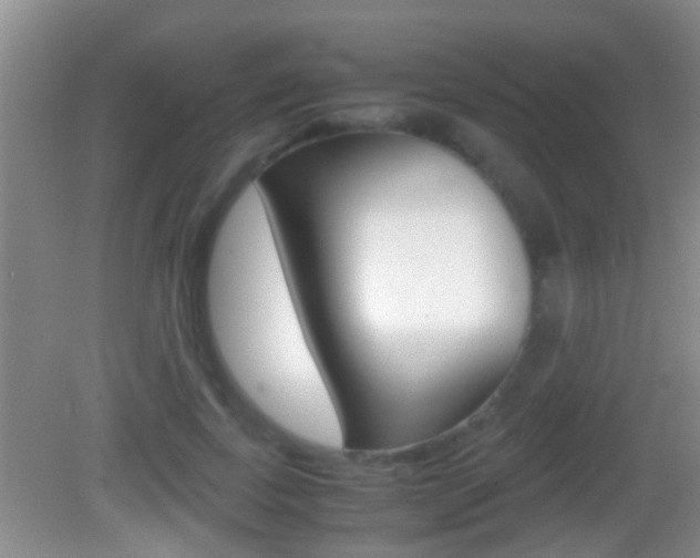 X0000083010739200702020915