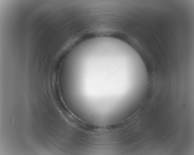 X0000083010742200702020915