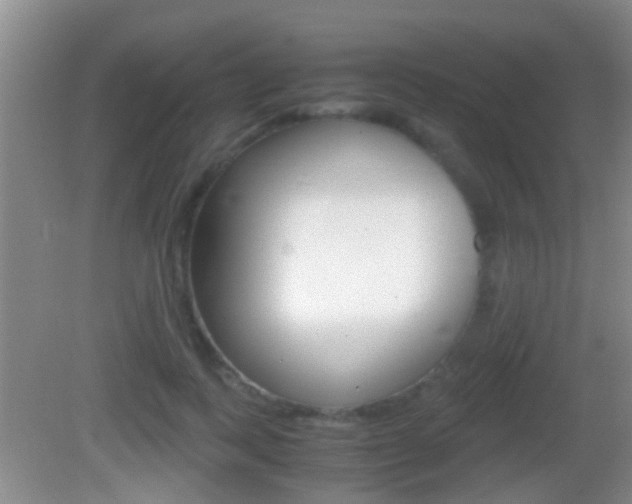 X0000083010743200702020915