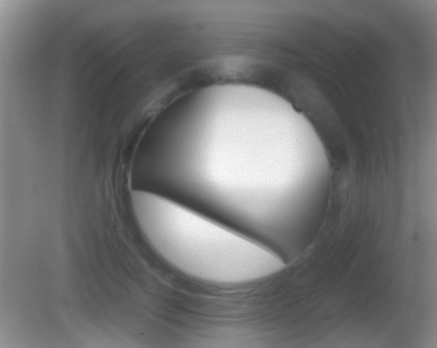X0000083010746200702020915