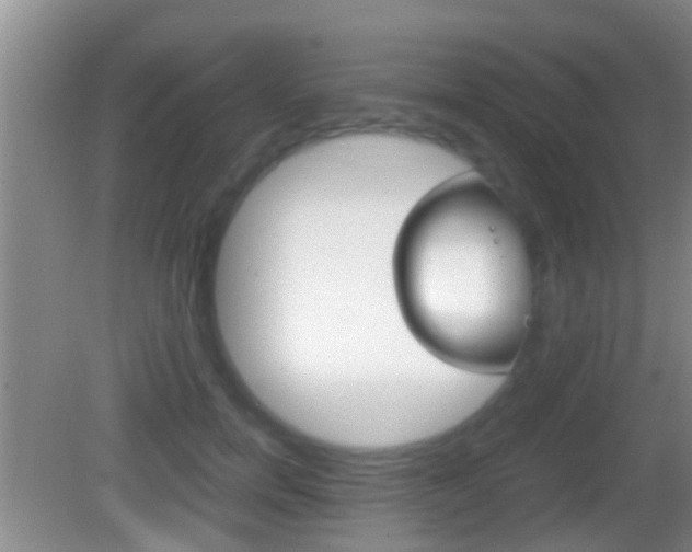X0000083010750200702020915