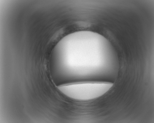 X0000083010758200702020915