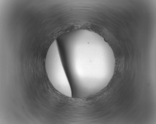 X0000083010770200702020914