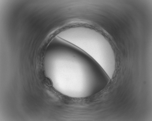 X0000083010775200702020914