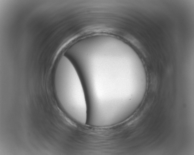 X0000083010782200702020914