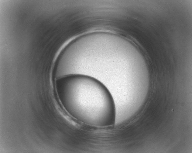 X0000083010788200702020914