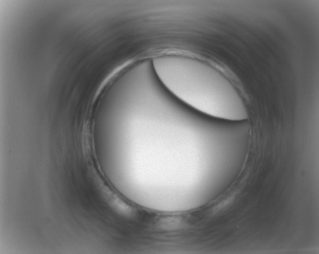 X0000083010798200702020914