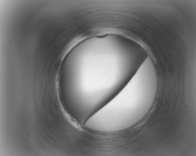 X0000083010814200702020914