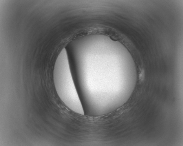 X0000083010819200702020913