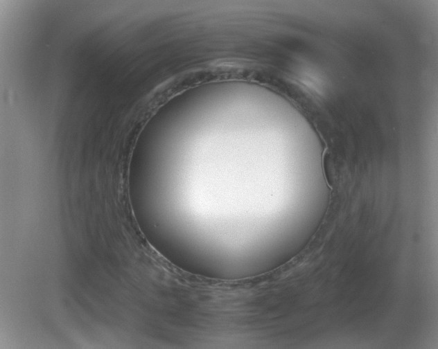 X0000083010821200702020913