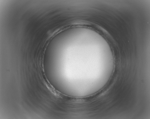 X0000083010833200702020913