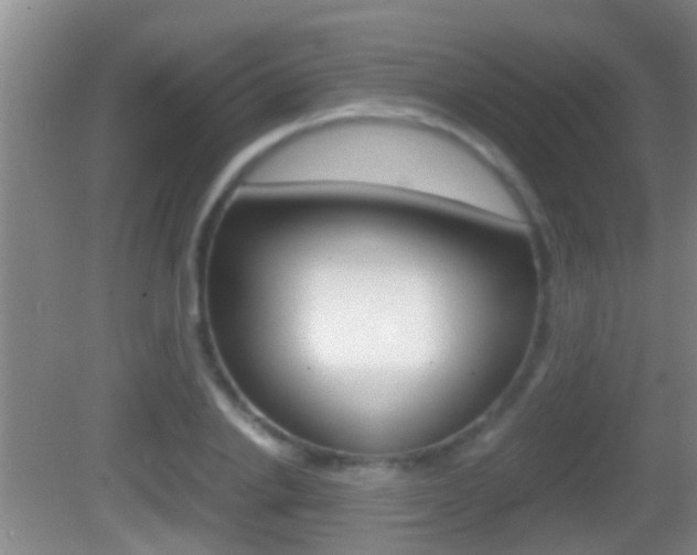 X0000083010838200702020913