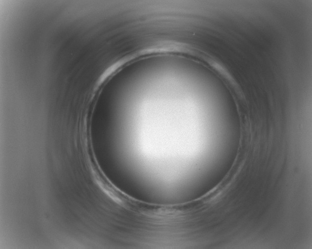 X0000083010842200702020913