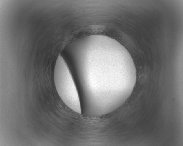 X0000083010866200702020913