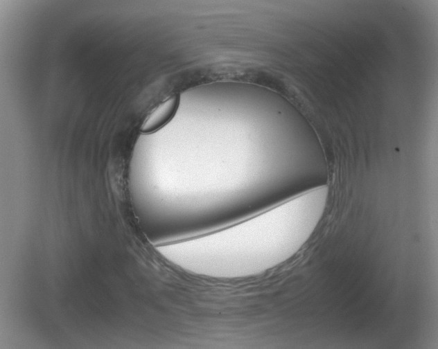 X0000083010867200702020913