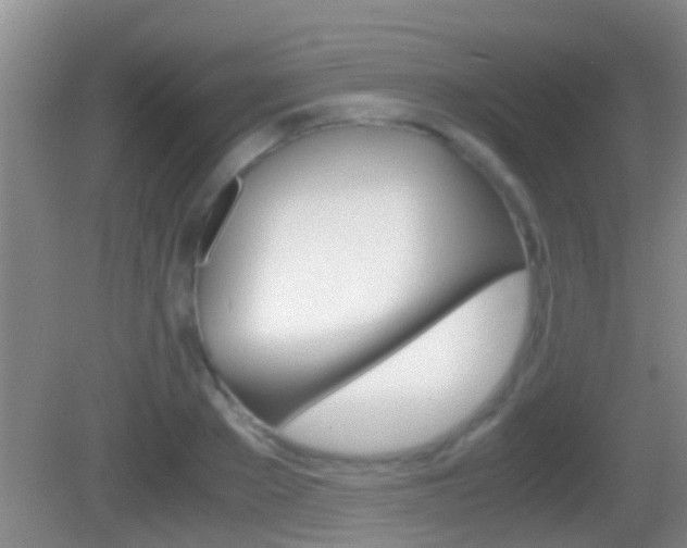 X0000083010889200702020912