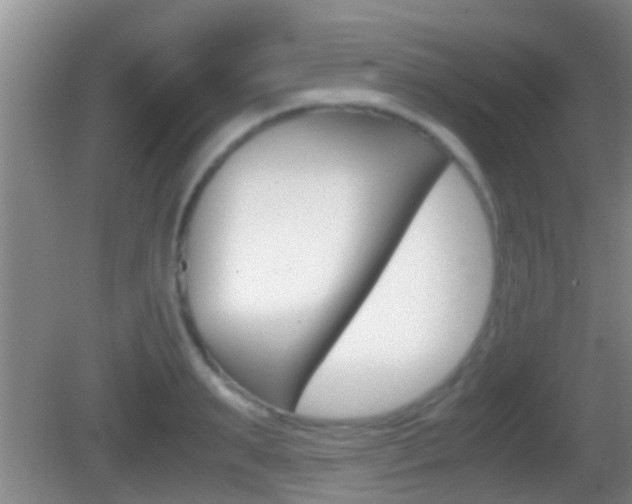 X0000083010895200702020912