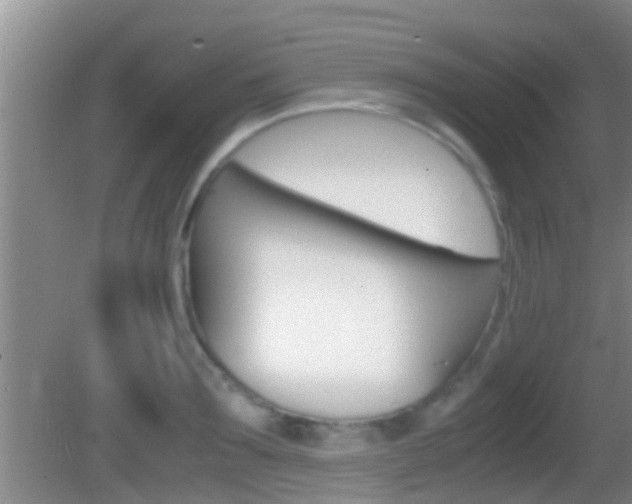 X0000083010899200702020912