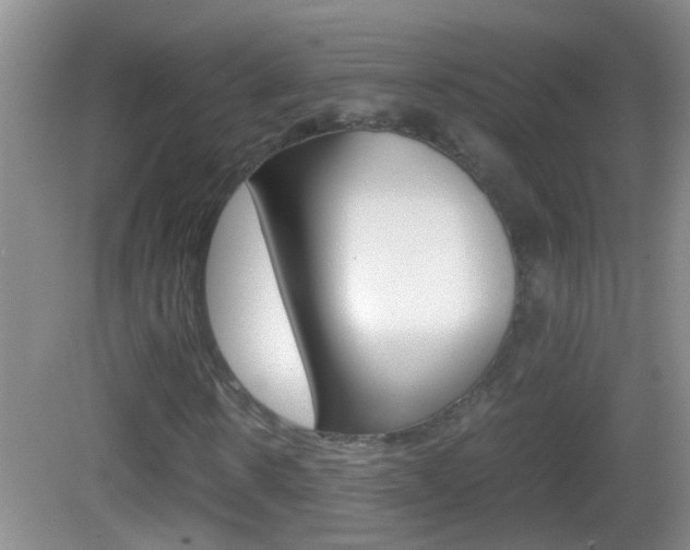 X0000083010914200702020911