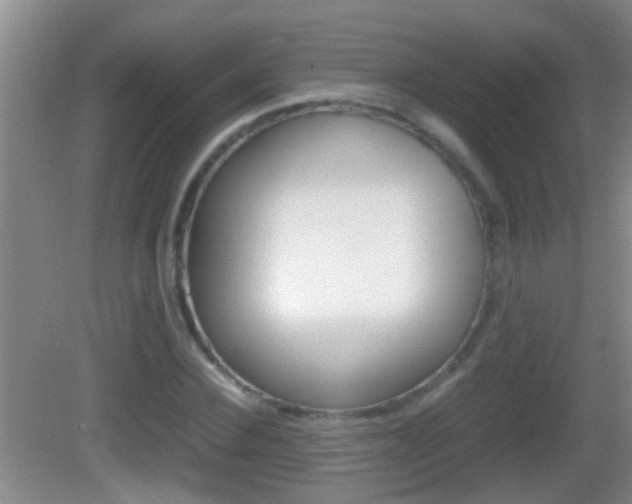 X0000083010924200702020911