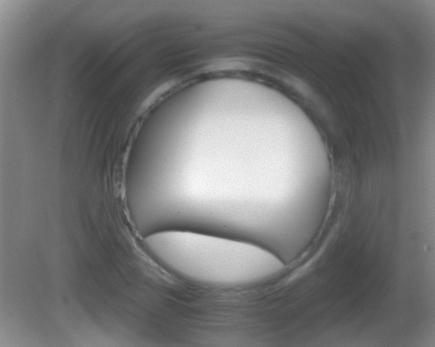 X0000083010929200702020911