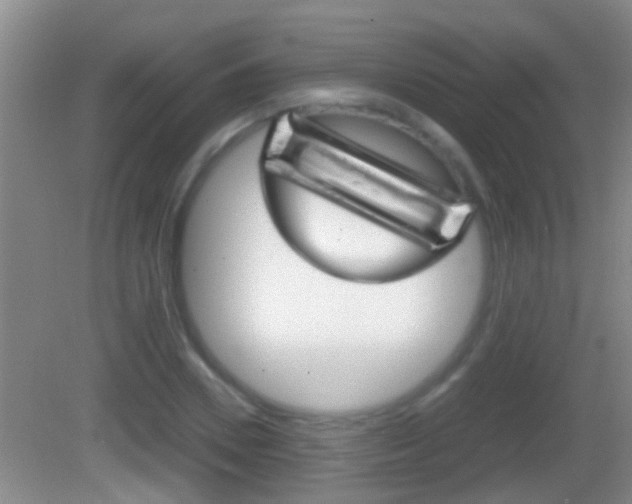 X0000083010930200702020911