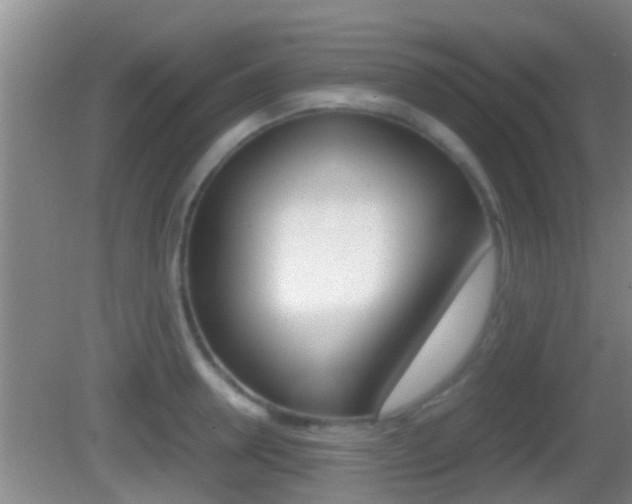 X0000083010946200702020912