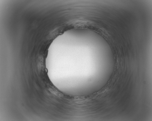 X0000083010964200702020911