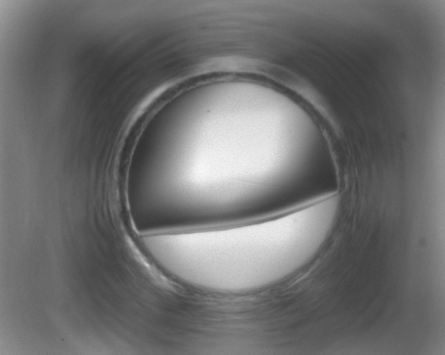 X0000083010972200702020911
